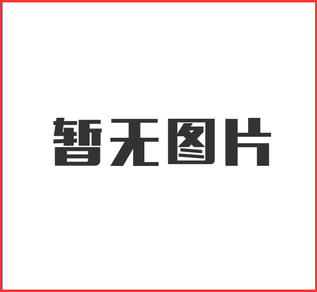 日500噸選金氰化鈉浸出工藝